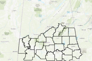 Dense Fog Advisory Issued For A Good Bit Of Central Alabama