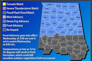 Frost Advisory In Effect Early Tomorrow