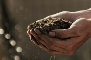 Soil – Little Word, Big Meaning