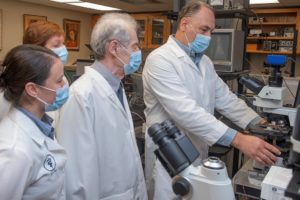 Alabama NewsCenter – Auburn University Study Has Implications in Restoring or Enhancing Sense of Smell