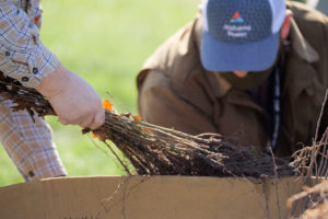 Alabama Newscenter — Arbor Week: Tree Giveaways in Communities Throughout the State