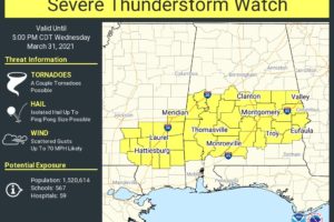 Severe Thunderstorm Watch Issued for the Southern Half of Central Alabama Until 5:00 pm