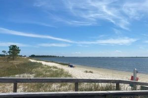 Alabama NewsCenter — Why Dauphin Island is the perfect weekend getaway