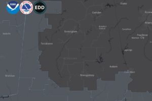 Dense Fog Across Portions of the Area Overnight into Sunday Morning