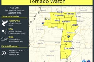 Tornado Watch Has Been Issued for All Western Counties Until 7 pm