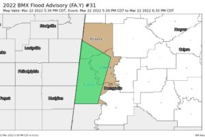 EXPIRED — FLOOD ADVISORY: Parts of Greene, Pickens, Sumter Co. Until 6:30 pm