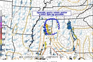 Mesoscale Discussion: Watch Unlikely At This Point as Severe Potential Remains Limited