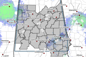 Dense Fog Overnight