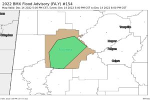 Areal Flood Advisory — Parts of Tuscaloosa Co. Until 8 pm