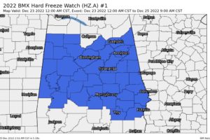 Hard Freeze & Wind Chill Watches Issued for Much of the Area