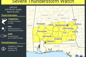 Severe T-Storm Watch Issued for Portions of Central Alabama Until 6 pm