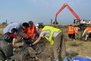 Alabama NewsCenter — Volunteers work together to salvage oyster reefs, support Mobile Bay’s marine ecosystem