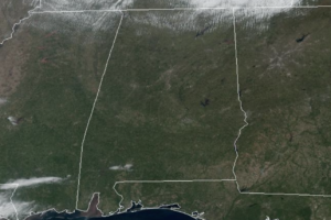 Midday Nowcast: Tons of Sunshine