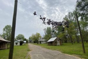 Alabama NewsCenter — Alabama small-town wonders: The ‘town’ of Spectre