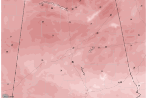Sunday Morning Lows