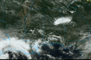 Warm, Humid Weather Continues With Scattered Storms