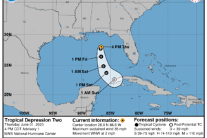 Tropical Depression 2 Has Formed in the Northeastern Gulf of Mexico