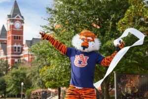 Alabama NewsCenter – Let the rolling begin again: Auburn University announces fans can roll replanted oaks at Toomer’s Corner