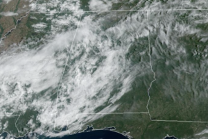 Midday Nowcast: Sun, Clouds, and Some Showers