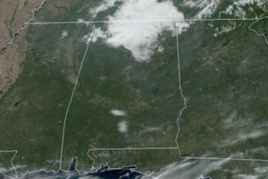 Midday Nowcast: Fantastic Early Fall Weather