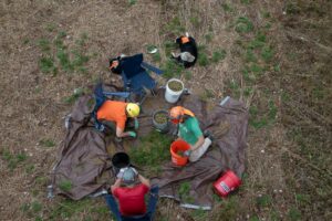 Alabama NewsCenter — Alabama ecologists on the prowl for shortleaf pine seeds to restore vanishing habitat