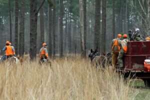 Alabama NewsCenter — Quail hunters come to Alabama Black Belt for training experience