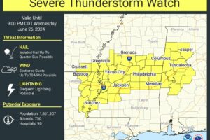 Strong Storms Over West Alabama This Afternoon