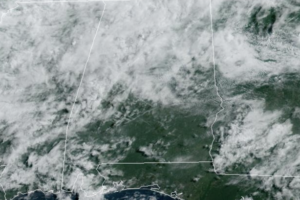 Midday Nowcast: Daily Showers and Storms Remain in the Forecast