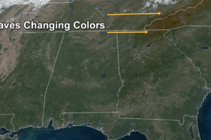Midday Nowcast: Another Sun-Filled Day Across Alabama