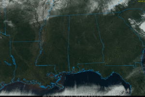 A Hard Freeze Tonight; Warmer By The Weekend