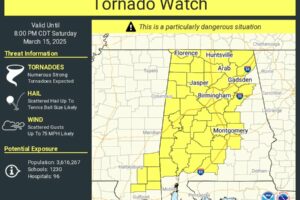 PDS Tornado Watch Issued for Much of Alabama