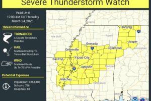 Severe Thunderstorm Watch In Effect For Portions Of Northern And Western Alabama Until 12am