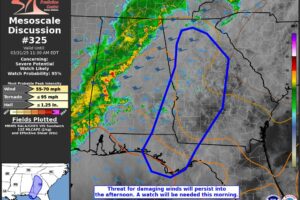 New Mesoscale Discussion: Watch Issuance Likely For Southeast Alabama