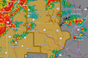 Severe Thunderstorm Warning for Walker and Winston Counties Until 2:15 PM CDT